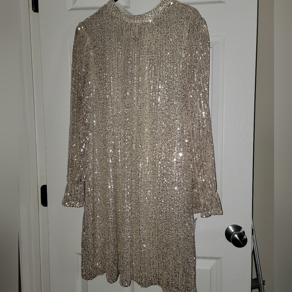 Donna Ricco Long Sleeved Sequin Party Dress